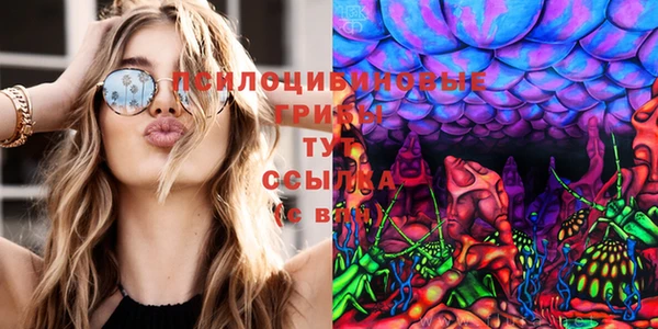трава Алзамай