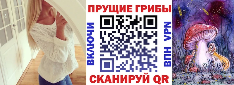 blacksprut маркетплейс  Волгодонск  Псилоцибиновые грибы прущие грибы  купить наркоту 