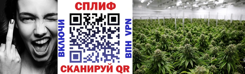 mega ТОР  Волгодонск  Каннабис тримм 